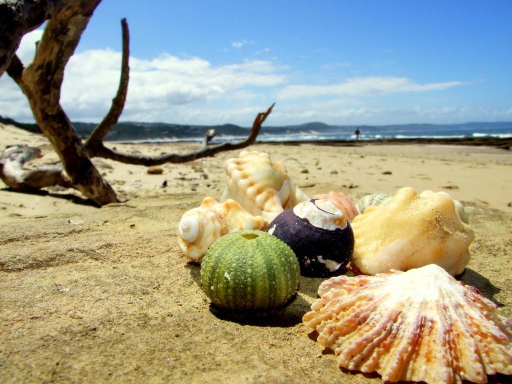 Buccaneers Beach Lodge, Chintsa, South Africa Exterior foto